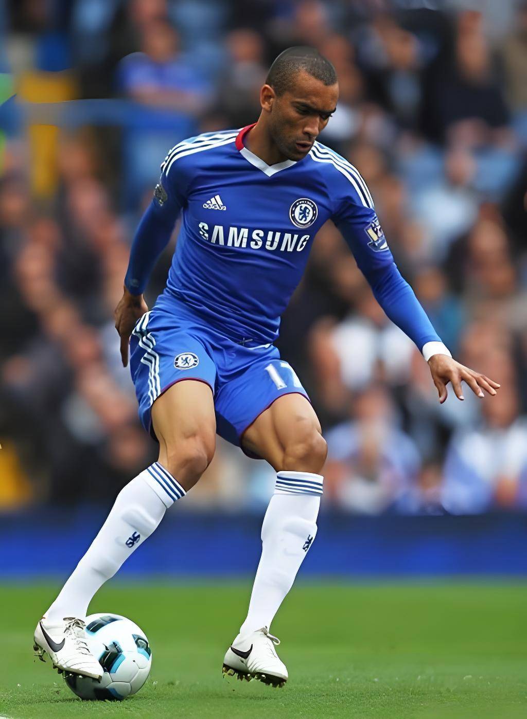  软肋by扁平竹 -开云官方在线登录